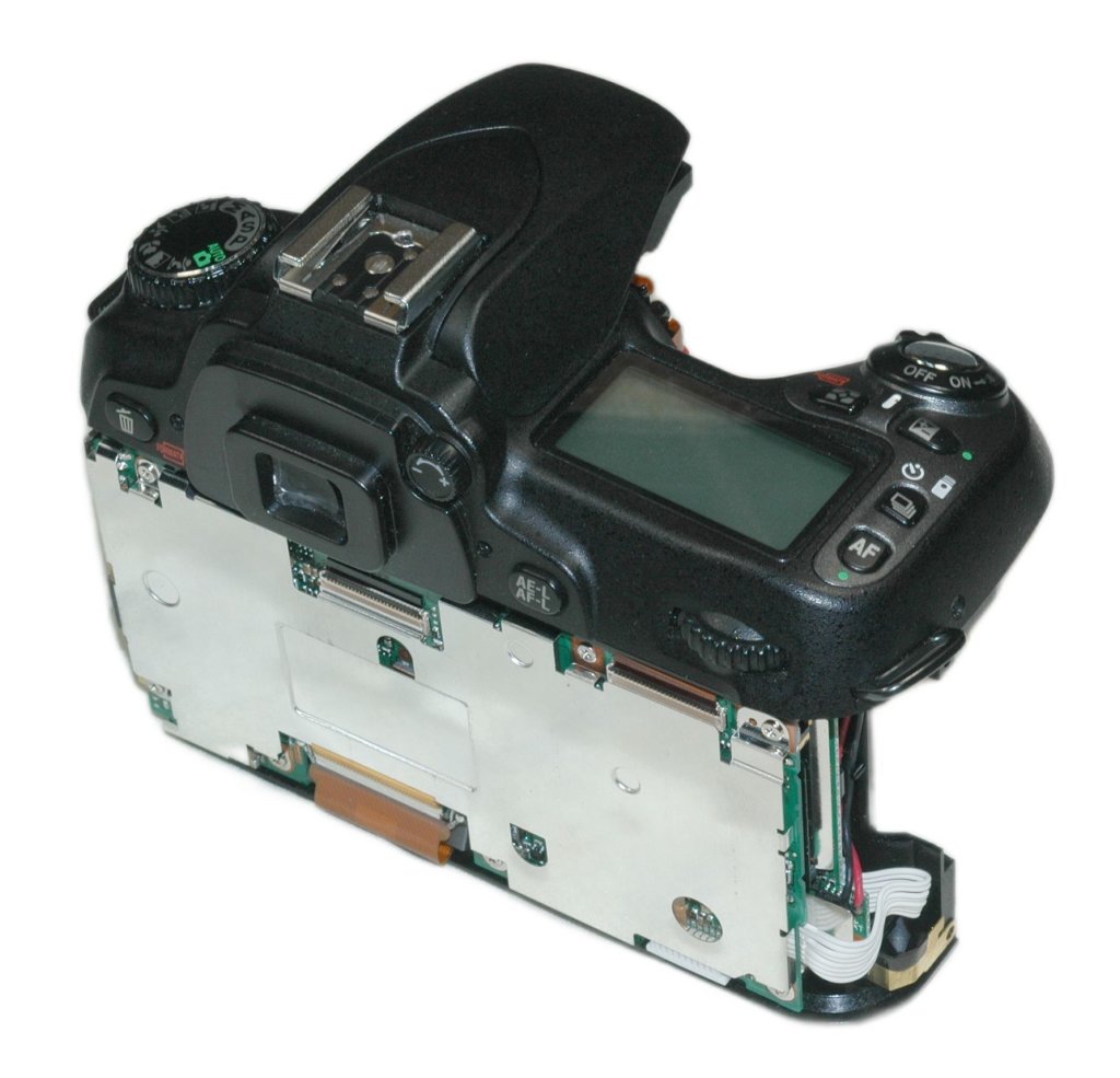 d80back_right_shield.jpg